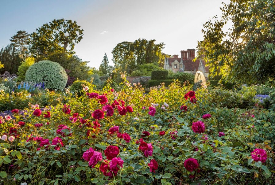 Borde Hill, United Kingdom